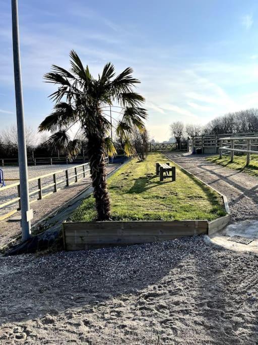 Haras De Connincthun Beuvrequen Exterior foto