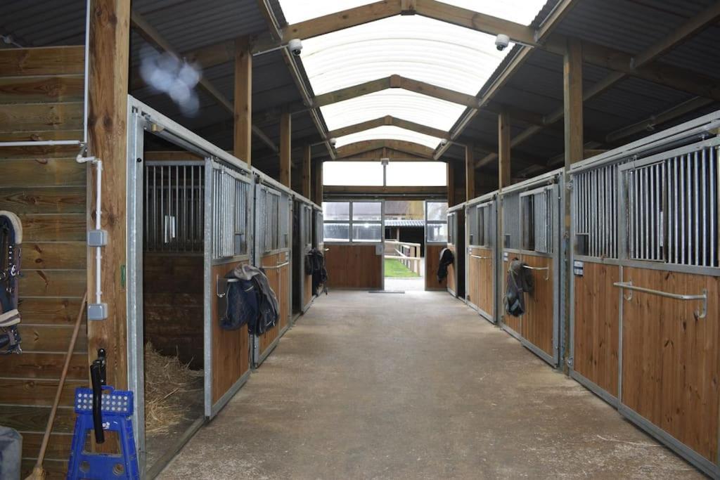 Haras De Connincthun Beuvrequen Exterior foto